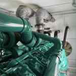 Cummins QSK50 Diesel Power Module - Tier 2